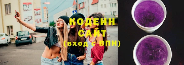 хмурый Абаза
