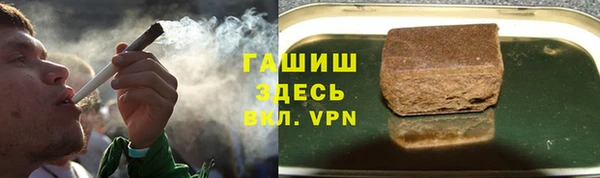 хмурый Абаза