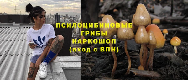 хмурый Абаза