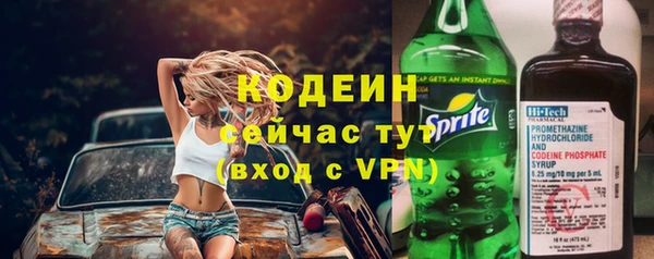 хмурый Абаза