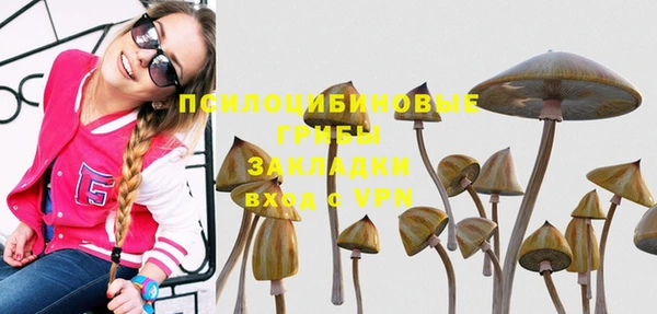 apvp Абинск