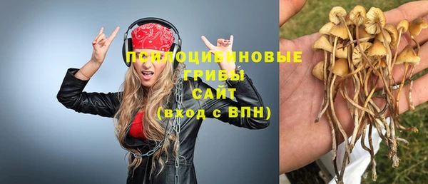 хмурый Абаза