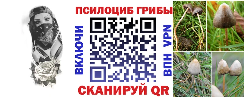 Псилоцибиновые грибы MAGIC MUSHROOMS  Ряжск 